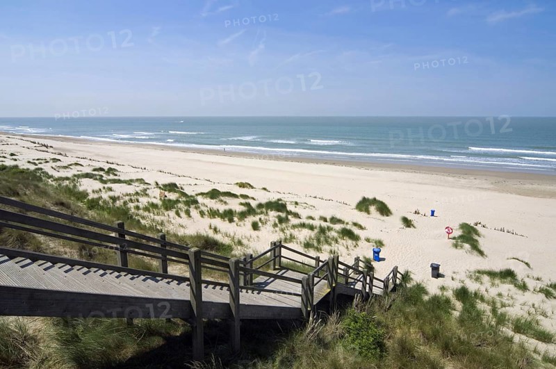 Nature reserve De Fonteintjes in the dunes between Blankenberge and Zeebrugge along the North Sea coast