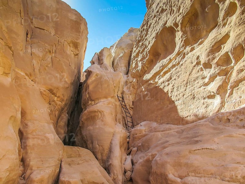 Ladder in the rocks