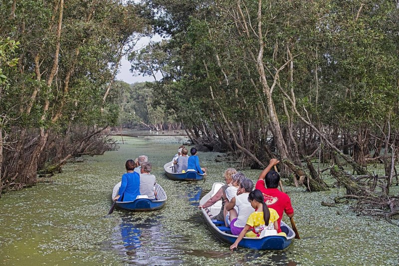 Tourists in small boats looking for wildlife in flooded mangrove in the Tra Su Cajuput Forest
