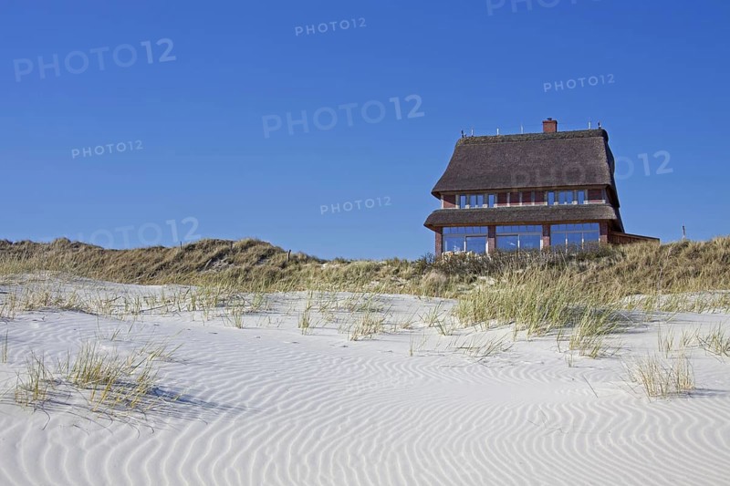 Villa with thatched roof in the dunes at Wittduen auf Amrum on the island of Amrum