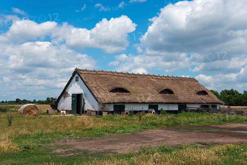 Farmstead