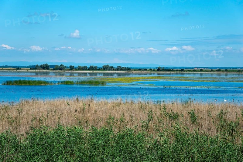 Hortobagy Fish Ponds