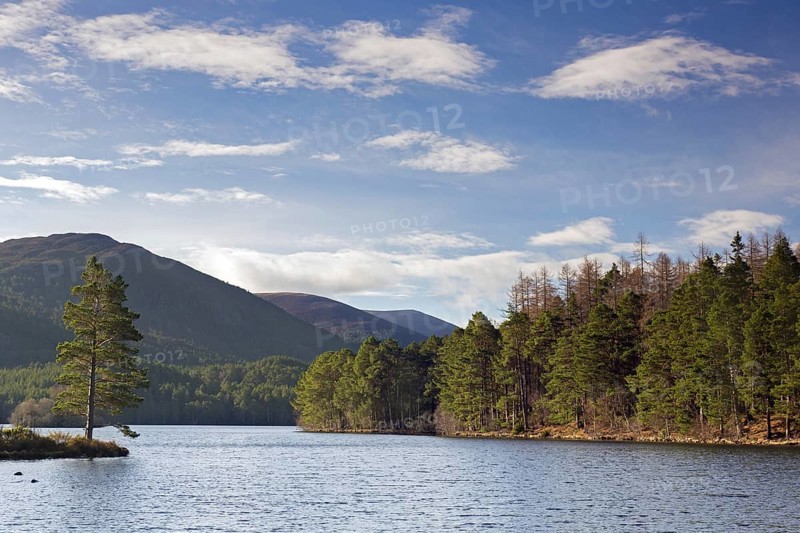 Loch an Eilein in the Rothiemurchus Forest