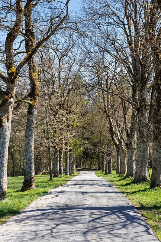 Small road