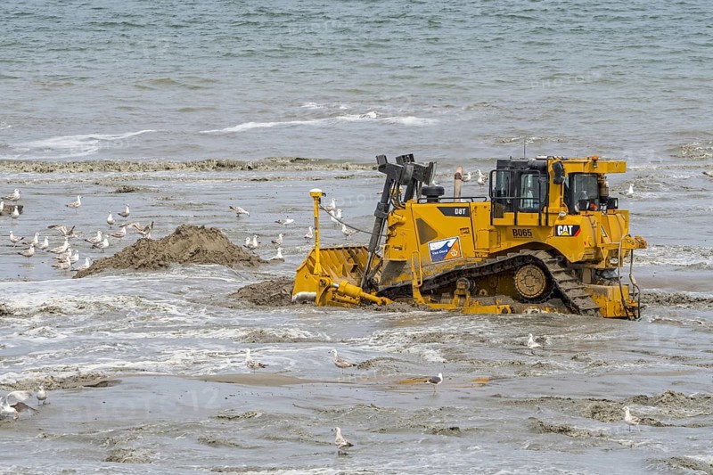 Bulldozer used for sand replenishment