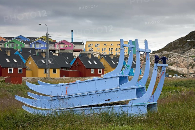 Hondensleeen in de zomer te Ilulissat