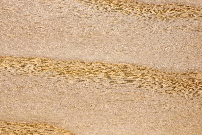 Wood grain of European Ash