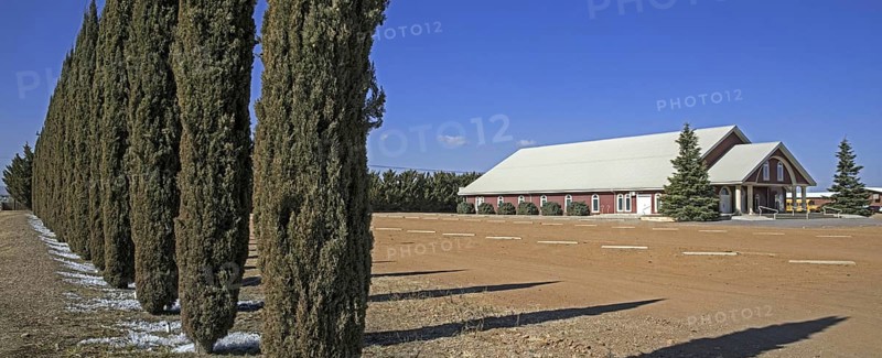 Ttraditional Mennonite dairy farm of Mennonites living in Cuauhtemoc