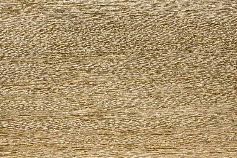 Wood grain of Koto