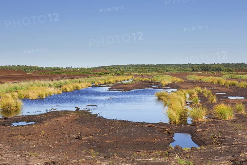 Peat extraction at Totes Moor