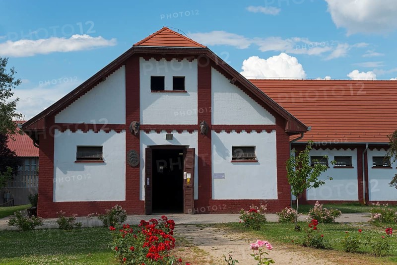Mata Stud Farm