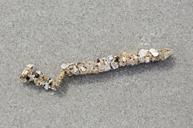 Tubes debris showing cemented sand grains and shell fragments from sand
