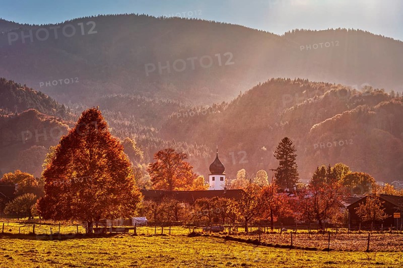 Autumn light