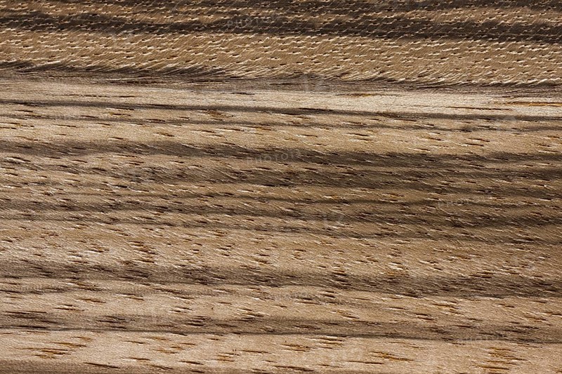 Wood grain of Zebrawood