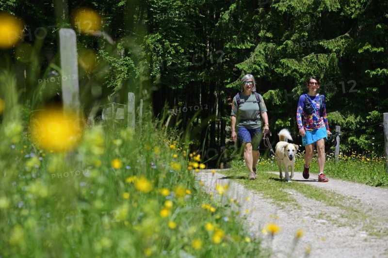 Herb hiking guide