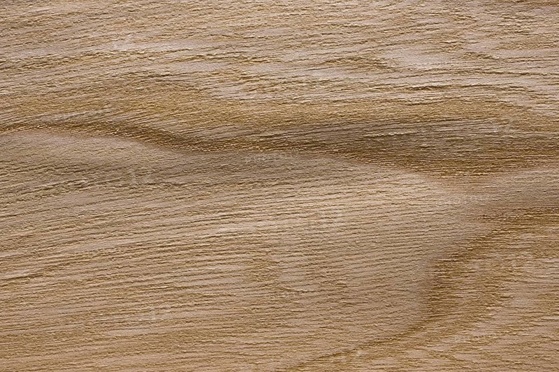 Wood grain of elm