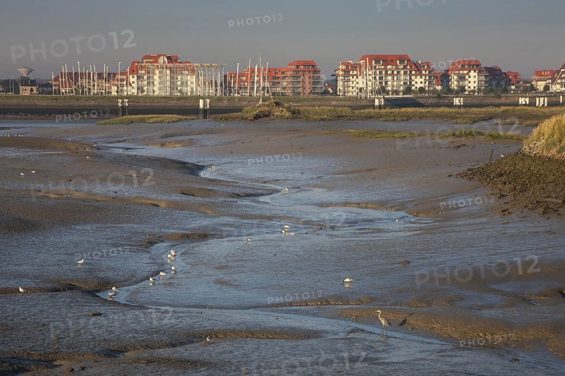 Salt marsh and mudflats at the nature reserve De IJzermonding at Nieuwpoort