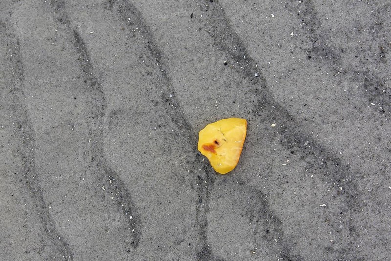 Amber nugget
