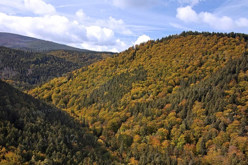 View from the Ilsestein