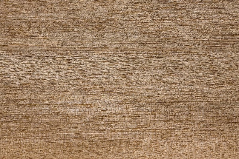 Wood grain of Anegre