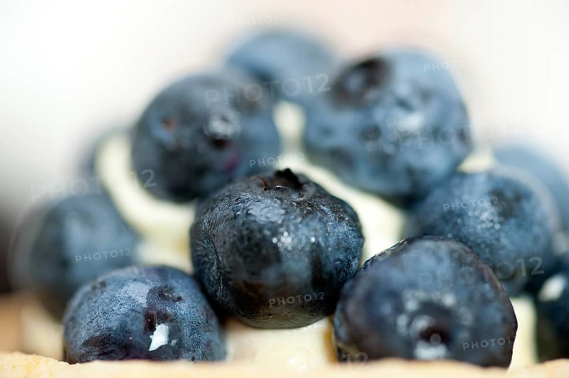 Fresh blueberry cream cupcake homemade closeup macro