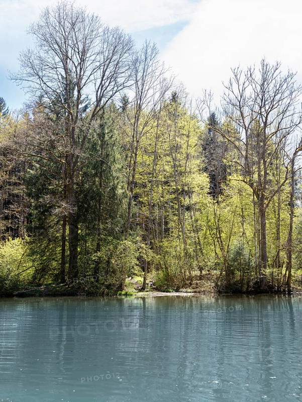 Pond