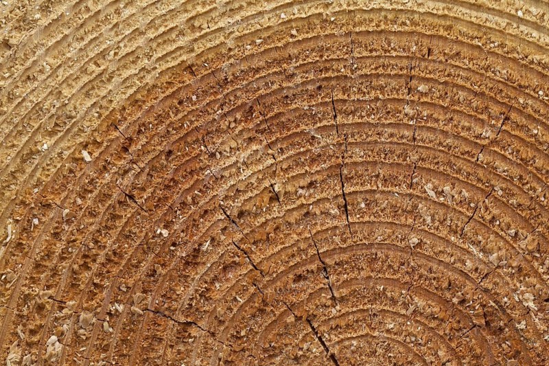 Cross-section