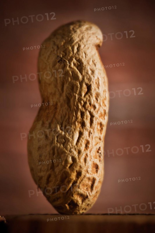 Peanut macro