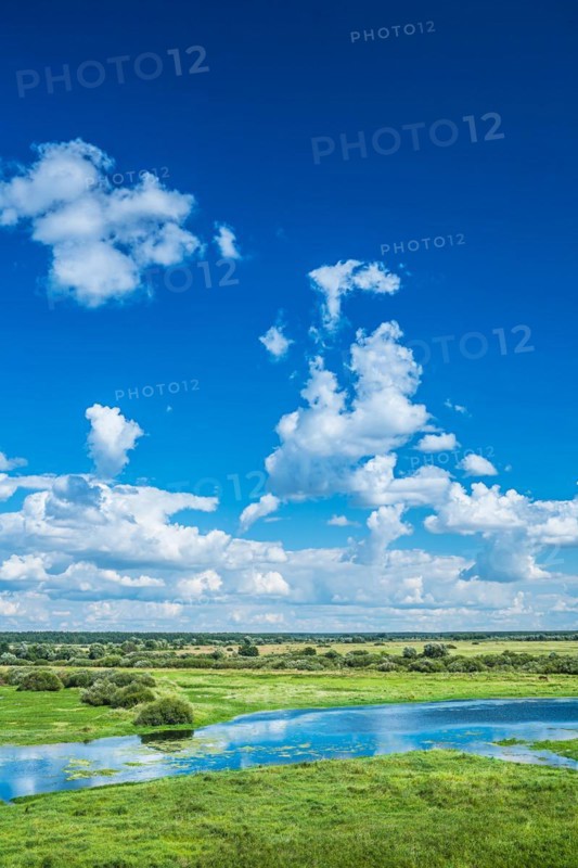 Flooded field in spring