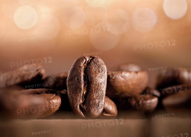 Coffee beans on a blurred background