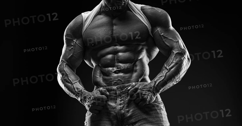 Muscular male torso. Perfect fit