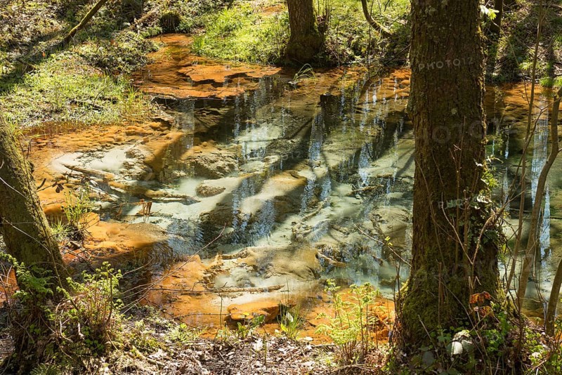 Spring and stream of the Schwindebach or Schwindebeck