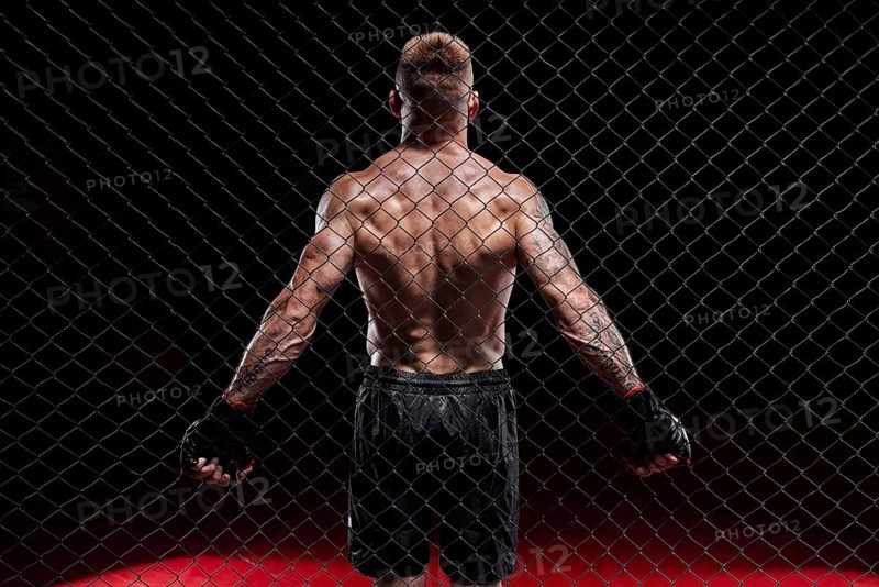 Dramatic depiction of a fighter in an octagon cage. Back view. The concept of sports