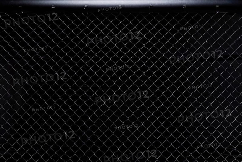 Image of an octagon. Concept of boxing