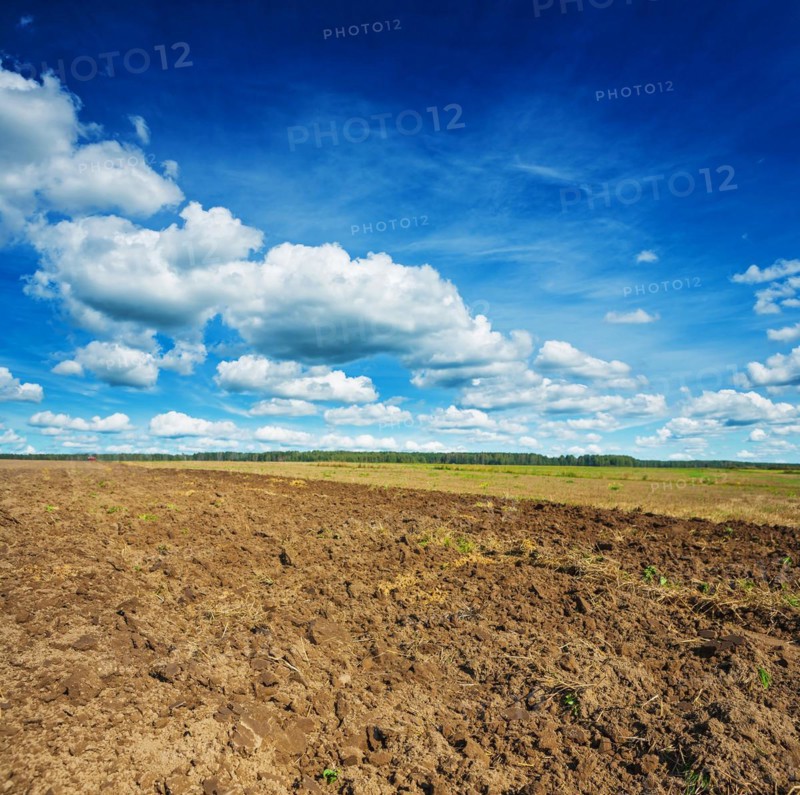 Freshly ploughed field in spring