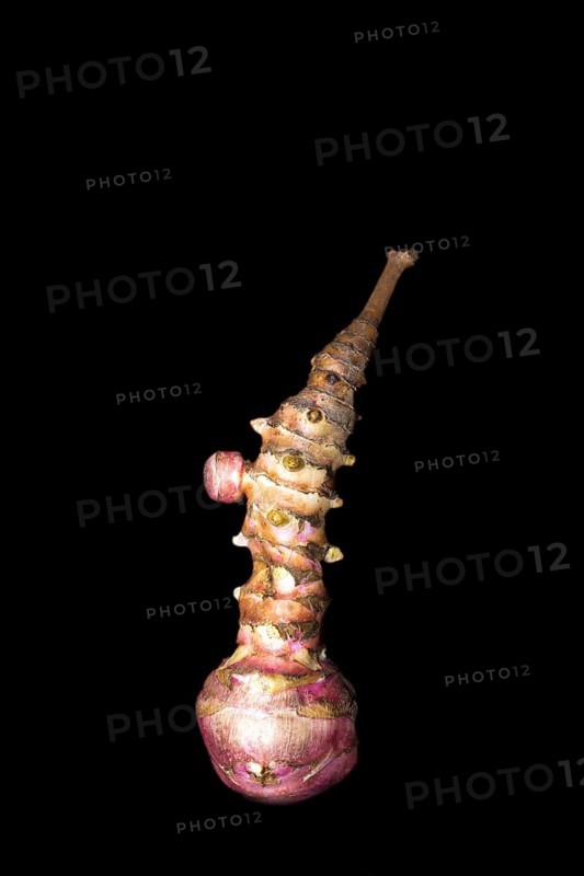 Jerusalem artichoke
