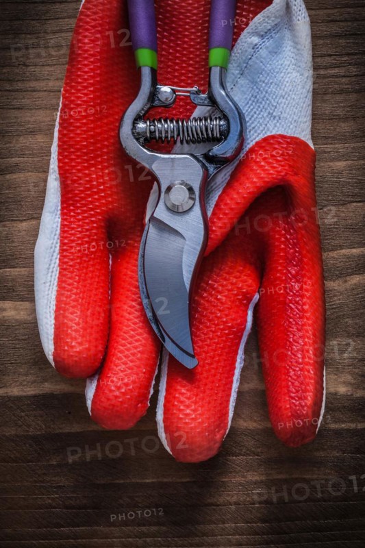 Gardening working glove and steel secateurs on wooden background