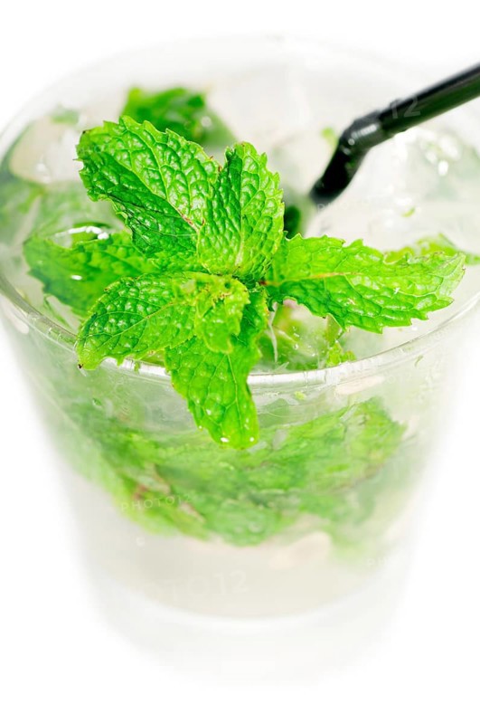 Mojito caipirina cocktail with fresh mint leaves