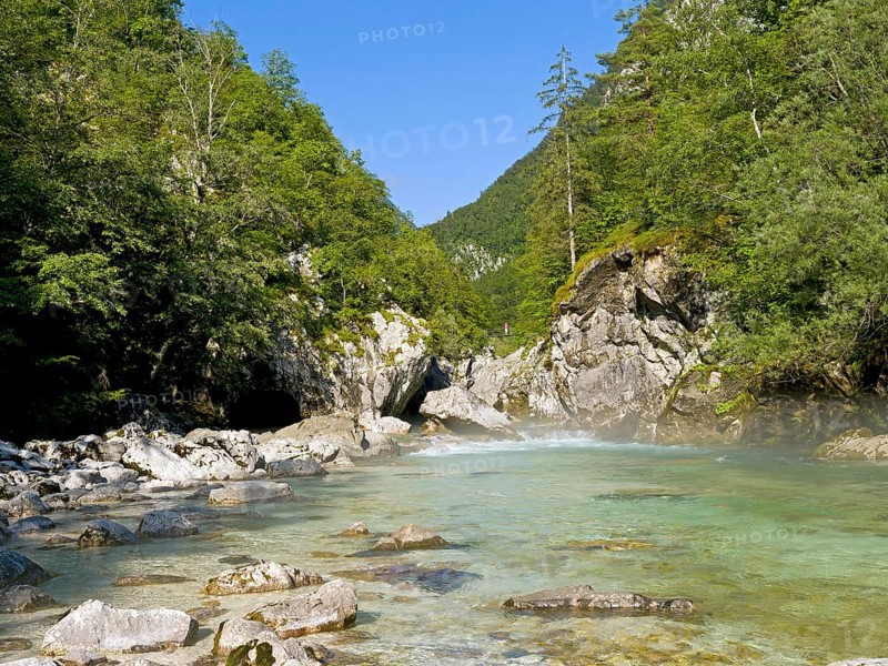 River Soca with crystal clear water flows through wooded canyon