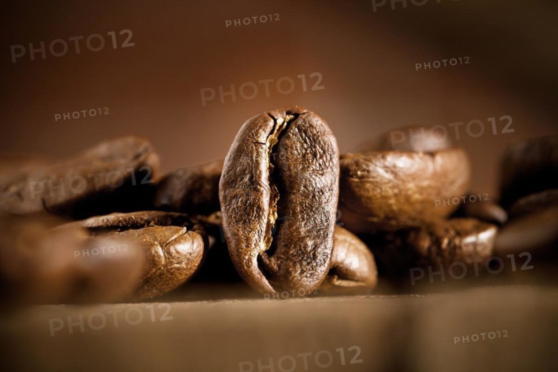 Coffee beans on a dark background