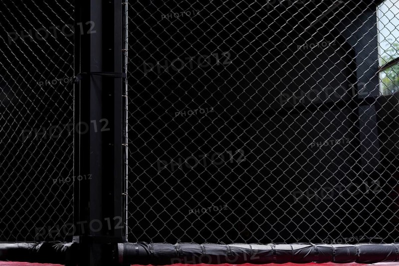 Image of an octagon. Concept of boxing