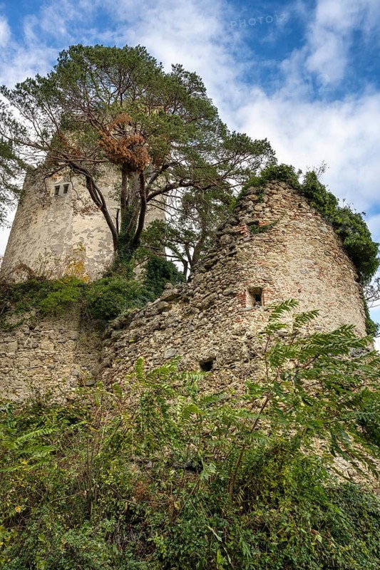 The ruins of Altbodman Castle on the Bodanrueck