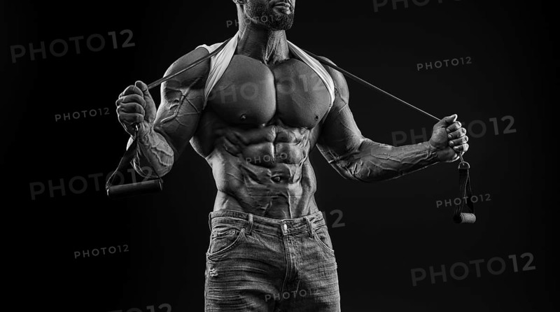 Muscular male torso. Perfect fit