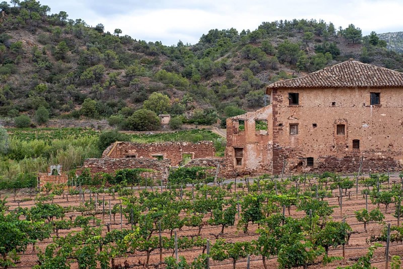 Experience stunning vineyard landscapes in the Priorat wine region