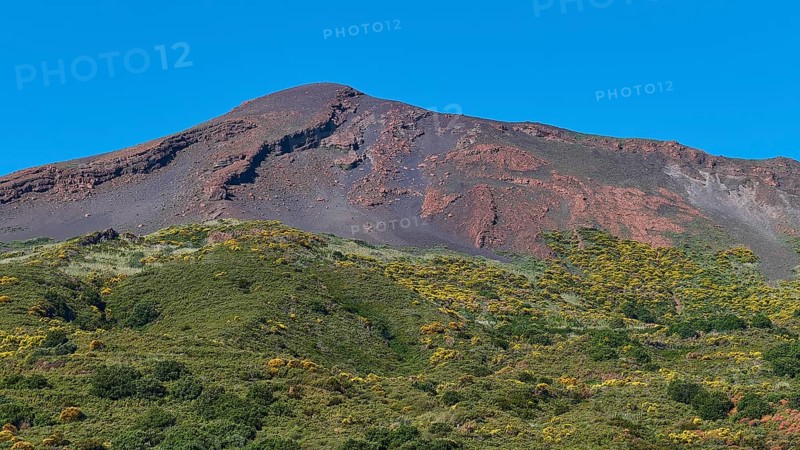 Green-yellow overgrown mountainside