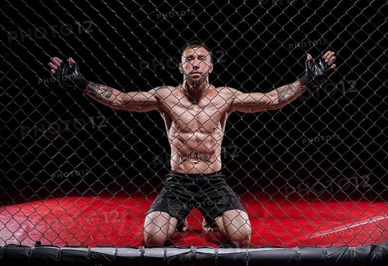 Dramatic image of a mixed martial arts fighter standing in an octagon cage. The concept of sports