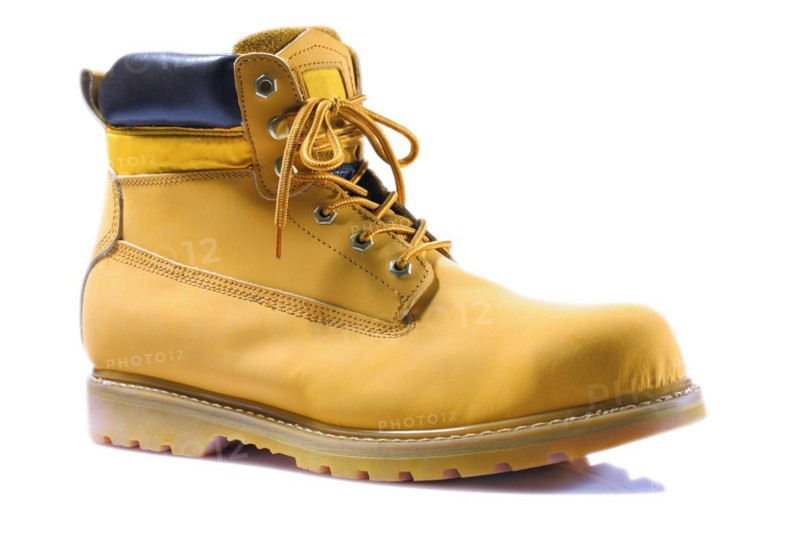 Single work boot