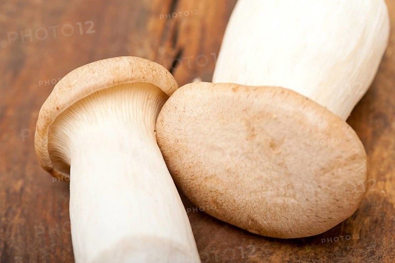 Bunch of fresh wild mushrooms on a rustic wood table
