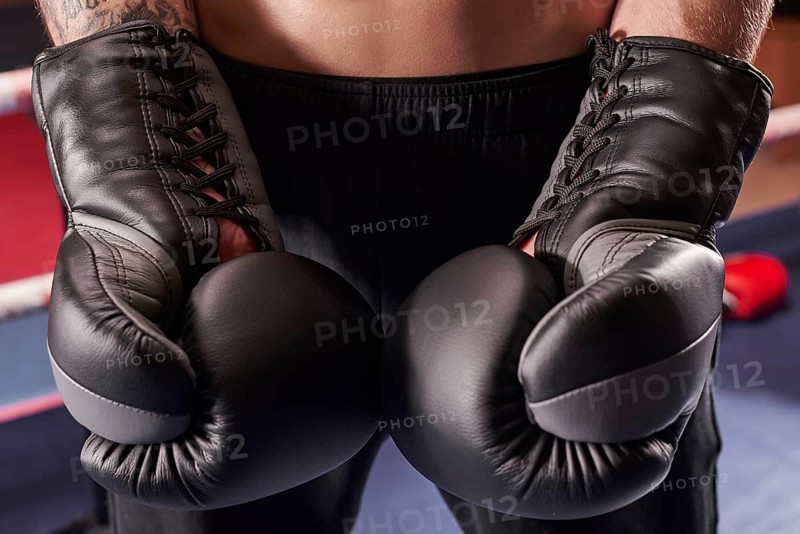 Image of boxing gloves. The concept of mixed martial arts. MMA