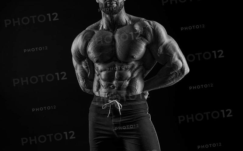 Muscular male torso. Perfect fit